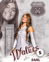 DHS_VB_Var_Ind2-20