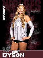 18 - Aubrey Dyson