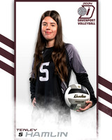 DHS_JV_VB_IND2-41