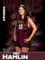 DHS_VB_JV_Ind1-10