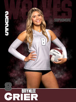 DHS_VB_Var_Ind1-38