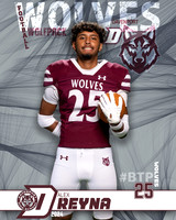 DHS_VAR_FB_IND1-89