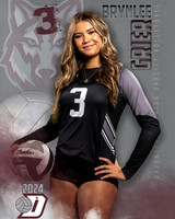 DHS_JV_VB_IND1-39
