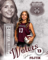 DHS_VB_JV_Ind2-29