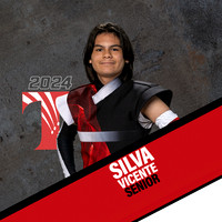 FE - Vicnete Silva