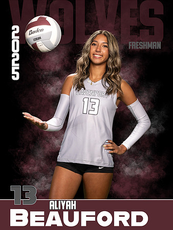 DHS_VB_Var_Ind1-88