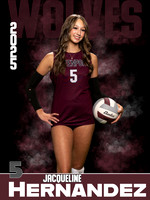 DHS_VB_JV_Ind1-37
