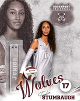 DHS_VB_Var_Ind2-14