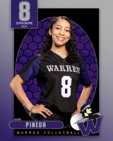 WHS_VAR_VB_IND1-25