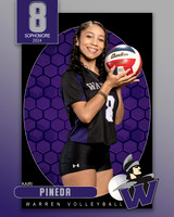 WHS_VAR_VB_IND1-76