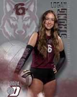DHS_VAR_VB_IND1-36