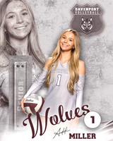 DHS_VB_Var_Ind2-16