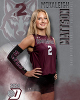 DHS_VAR_VB_IND1-17