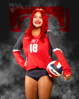 THS_VAR_VB_IND1-67