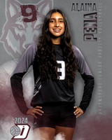 DHS_JV_VB_IND1-21