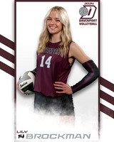 DHS_VAR_VB_IND2-59