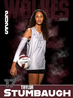 DHS_VB_Var_Ind1-44