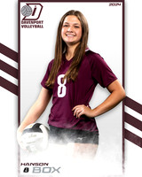 DHS_9th_VB_IND2-43