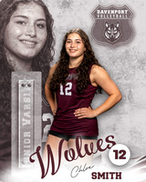 DHS_VB_JV_Ind2-28