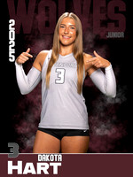 DHS_VB_Var_Ind1-63