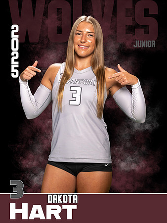 DHS_VB_Var_Ind1-63