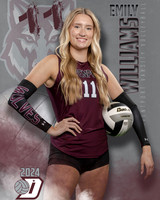 DHS_VAR_VB_IND1-41