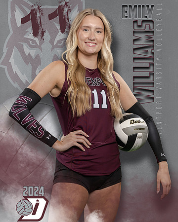DHS_VAR_VB_IND1-41
