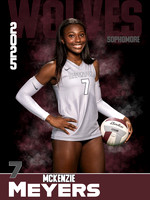 DHS_VB_Var_Ind1-37