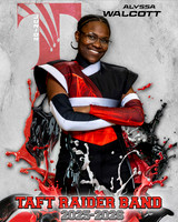 THS_BAND_TR_Ind-38