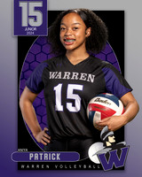 WHS_VAR_VB_IND1-66