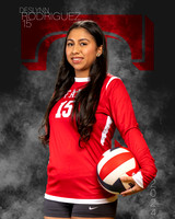 THS_9th_VB_IND1-43