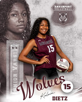DHS_VB_JV_Ind2-14