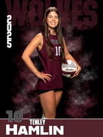 DHS_VB_JV_Ind1-42