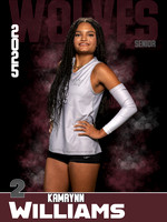 DHS_VB_Var_Ind1-2