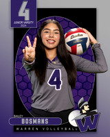WHS_JV_VB_IND1-60