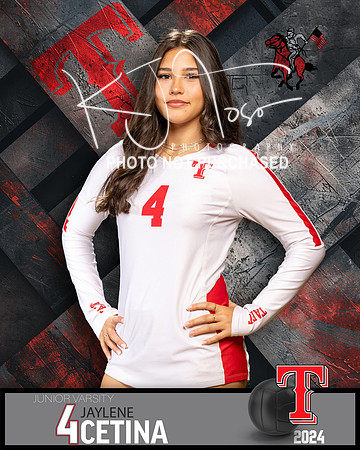 THS_JV_VB_IND2-4