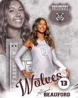 DHS_VB_Var_Ind2-13