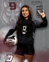 DHS_JV_VB_IND1-57