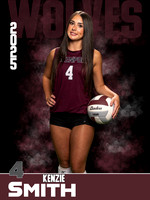 DHS_VB_JV_Ind1-52