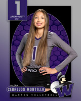 WHS_JV_VB_IND1-1