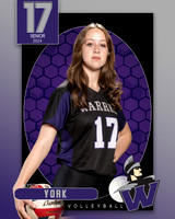 WHS_VAR_VB_IND1-68