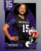 WHS_VAR_VB_IND1-49