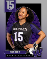 WHS_VAR_VB_IND1-15