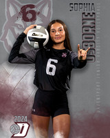 DHS_JV_VB_IND1-54