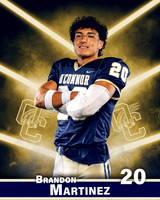 OHS_FB_IND3-100