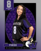 WHS_VAR_VB_IND1-8