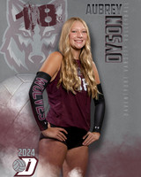DHS_VAR_VB_IND1-30