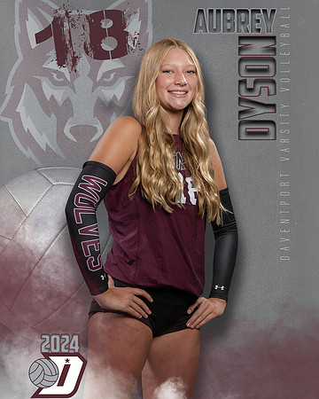 DHS_VAR_VB_IND1-30
