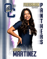OC_VB_9th_Ind1-17