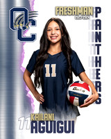 OC_VB_9th_Ind1-37